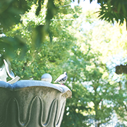 KURUPOクルポギャラリー_B