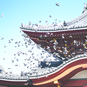 KURUPOクルポギャラリー_C