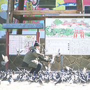 KURUPOクルポギャラリー_F